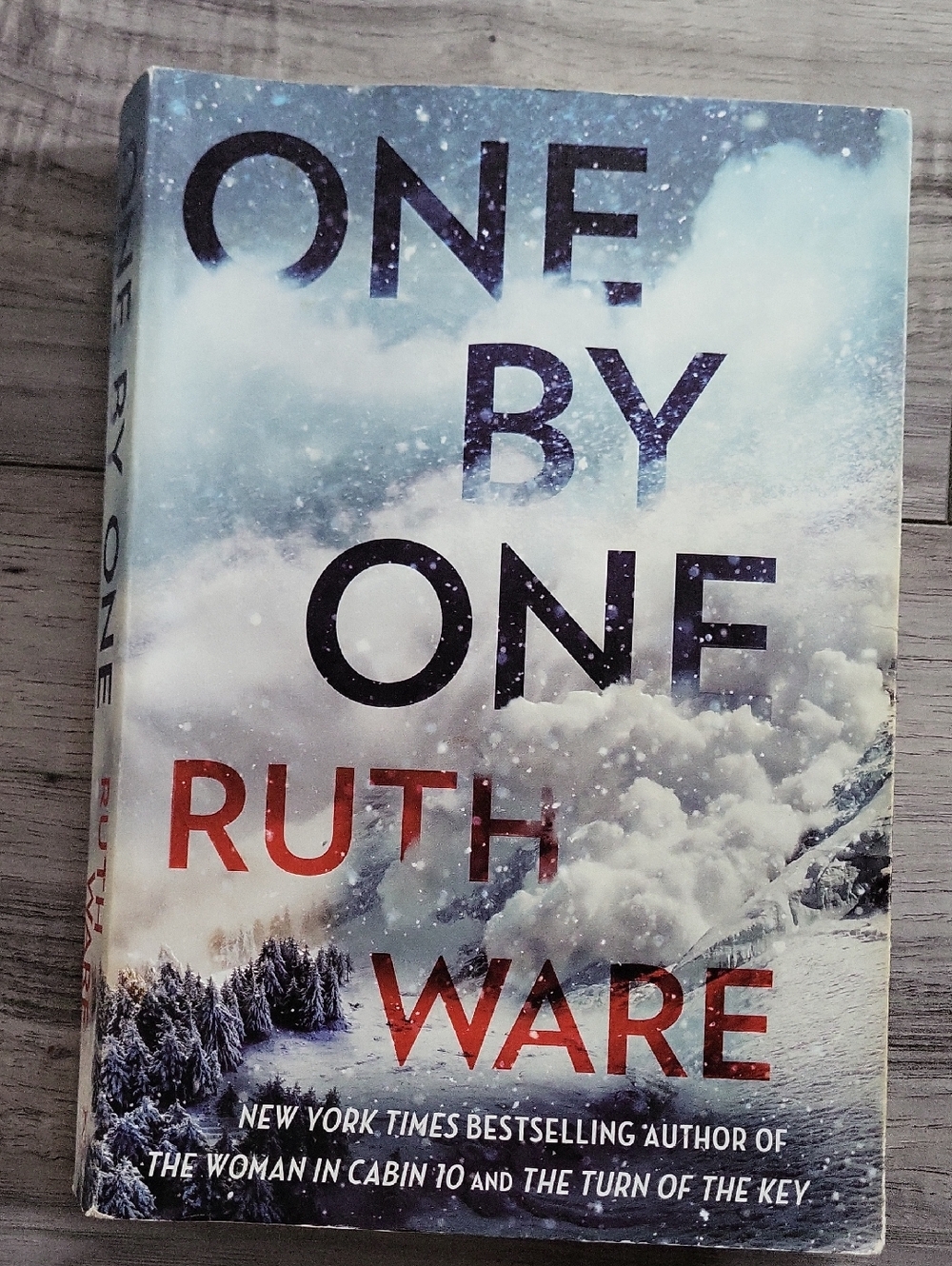 3/$18 -Ruth Ware Paperback Novel - One By One